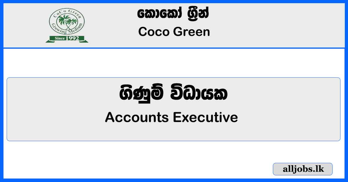Accounts Executive - Coco Green Vacancies