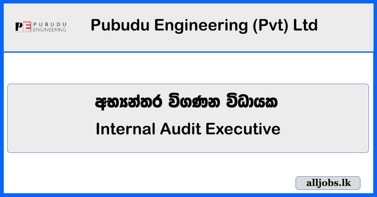 Internal Audit Executive – Pubudu Engineering (Pvt) Ltd Vacancies