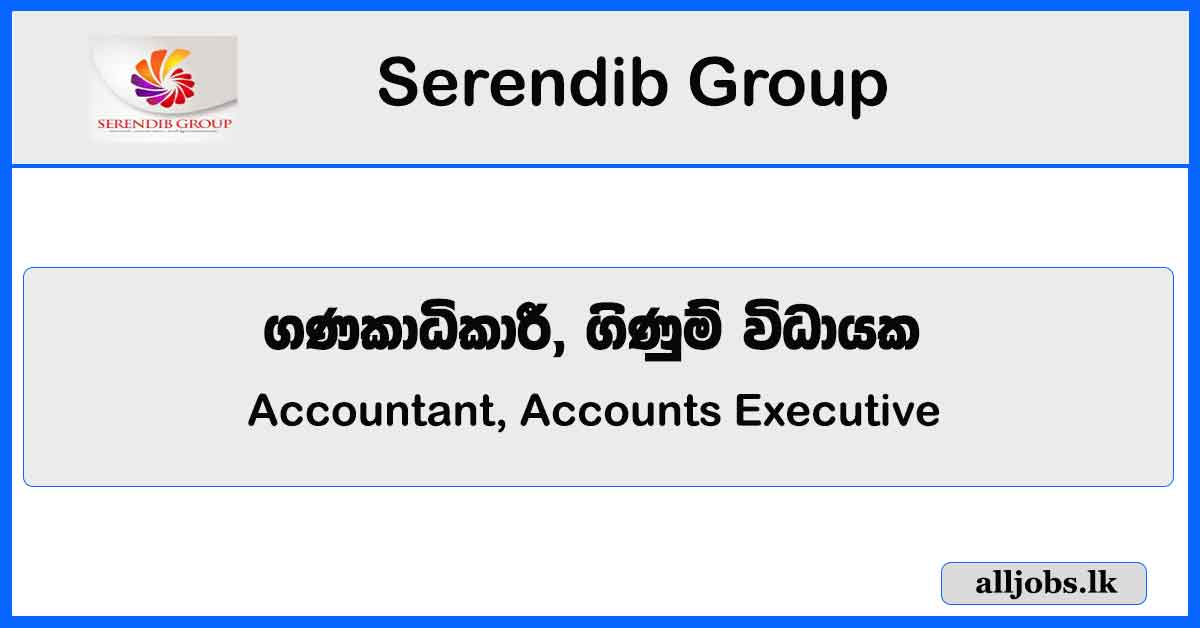 Accountant, Accounts Executive - Serendib Group - Colombo 04 Vacancies