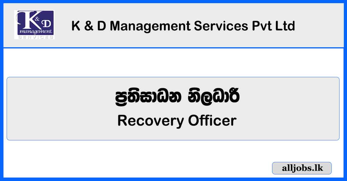 Recovery Officer - K & D Management Services Pvt Ltd Vacancies