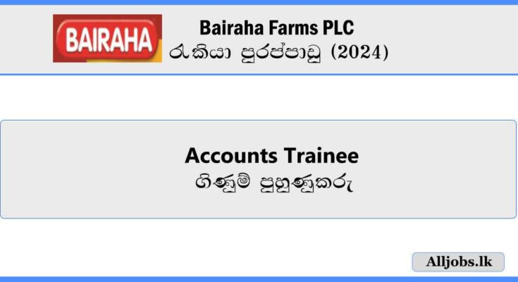 Accounts-Trainee-Bairaha-Farms-PLC-Job-Vacancies-2024-alljobs.lk