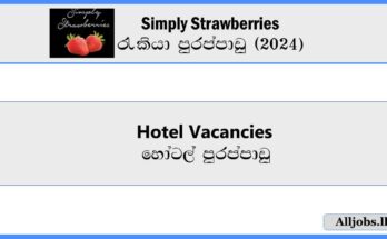 Hotel-Vacancies-Simply-Strawberries-Job-Vacancies-2024-alljobs.lk