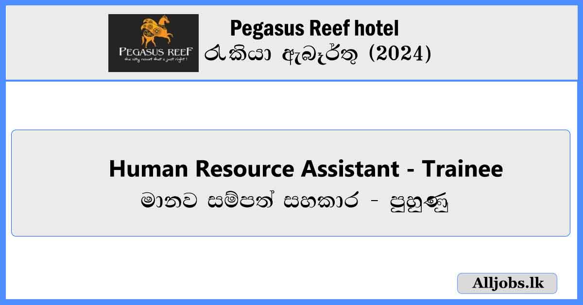 Human-Resource-Assistant-Trainee-Pegasus-Reef-hotel-Job-Vacancies-2024-alljobs