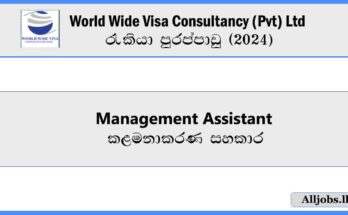 Management-Assistant-World-Wide-Visa-Consultancy-Pvt-Ltd-Job-Vacancies-2024.jpg