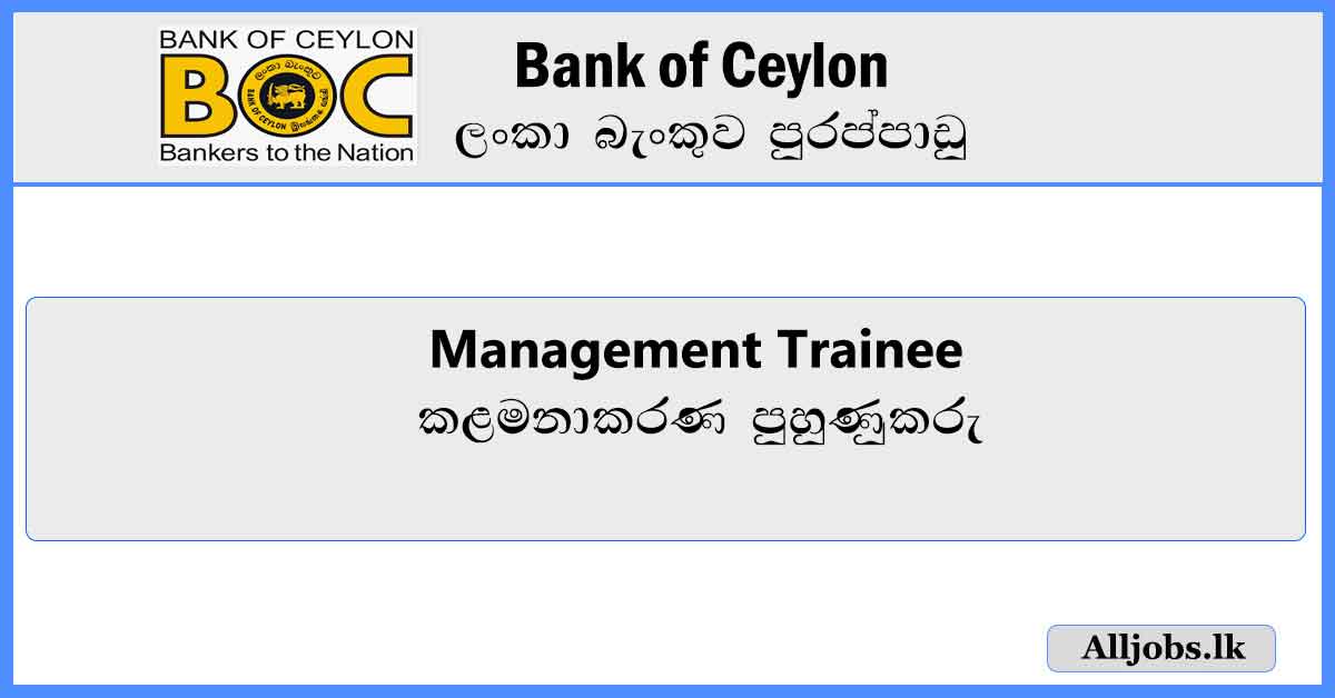 Management-Trainee-BOC-Bank-Vacancies-2024-alljobs.lk