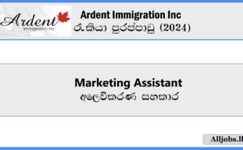 Marketing-Assistant-Ardent-Immigration-Inc-Job-Vacancies-2024