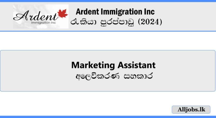 Marketing-Assistant-Ardent-Immigration-Inc-Job-Vacancies-2024