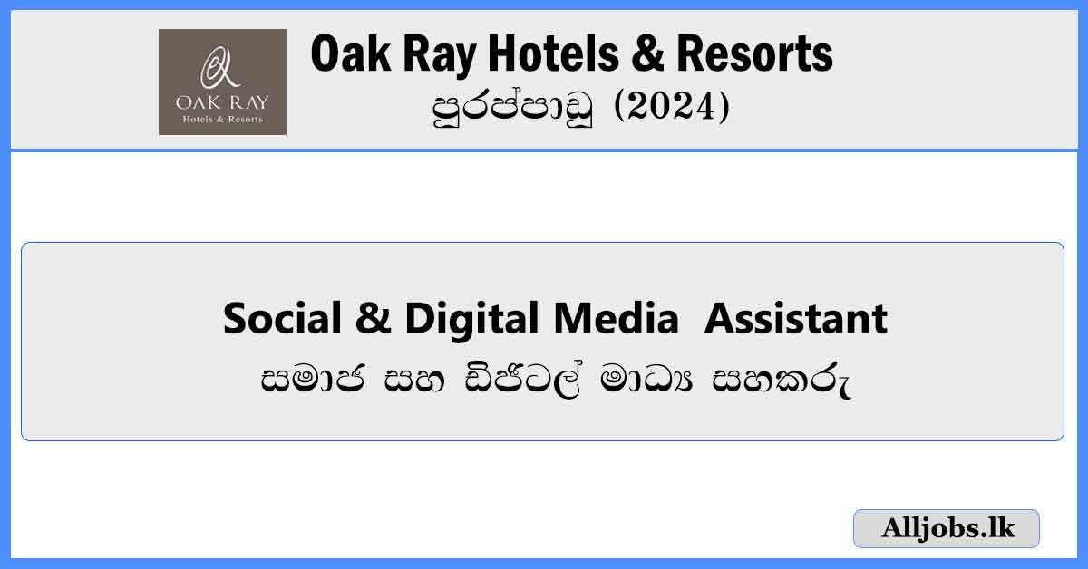 Social-Digital-Media-Assistant-alljobs.lk