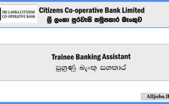 Trainee-Banking-Assistant-Sri-Lanka-Citizens-Co-operative-Bank-Limited-Vacancies-2024-alljobs.lk