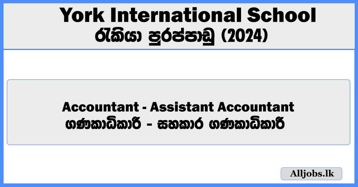 accountant-assistant-accountant-york-international-school