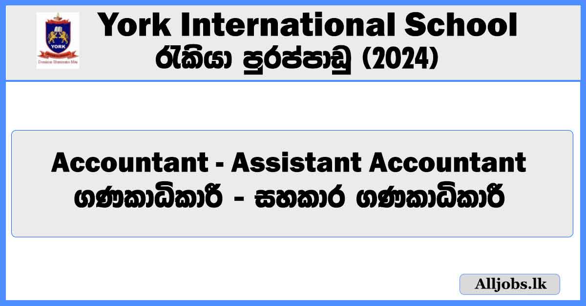 accountant-assistant-accountant-york-international-school