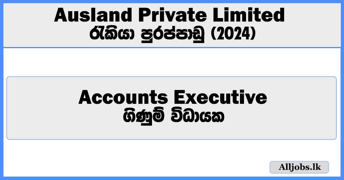 accounts-executive-ausland-private-limited-job-vacancies-2024