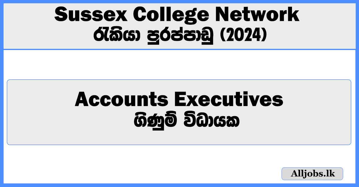 accounts-executives-sussex-college-network-job-vacancies