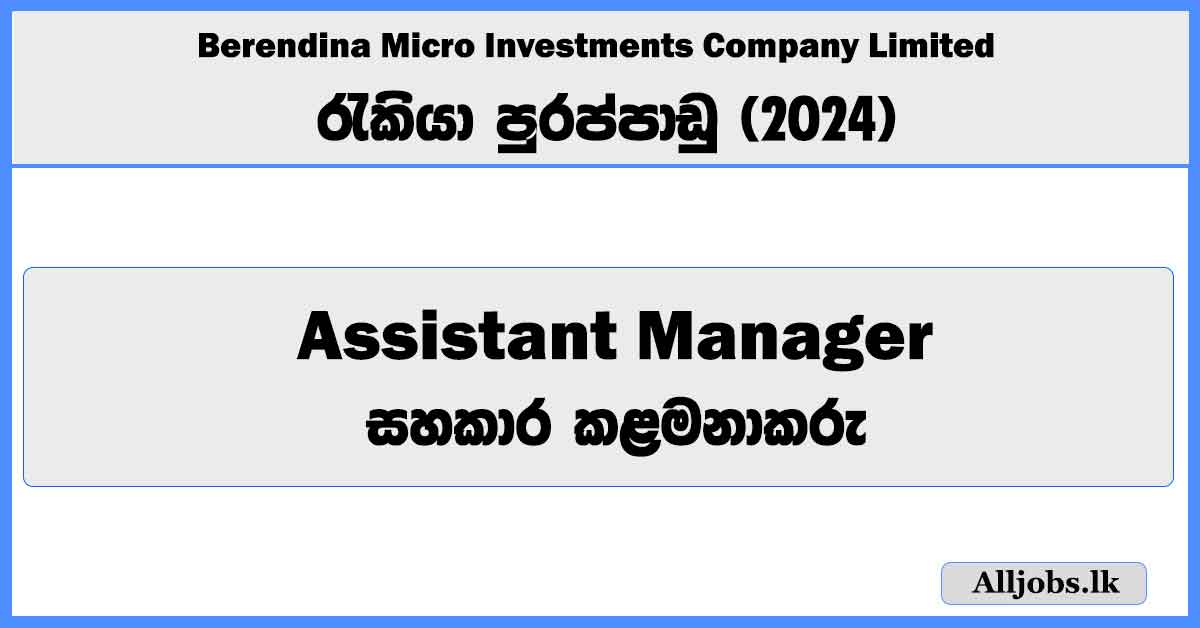 assistant-manager-berendina-micro-investments-company-limited-job-vacancies