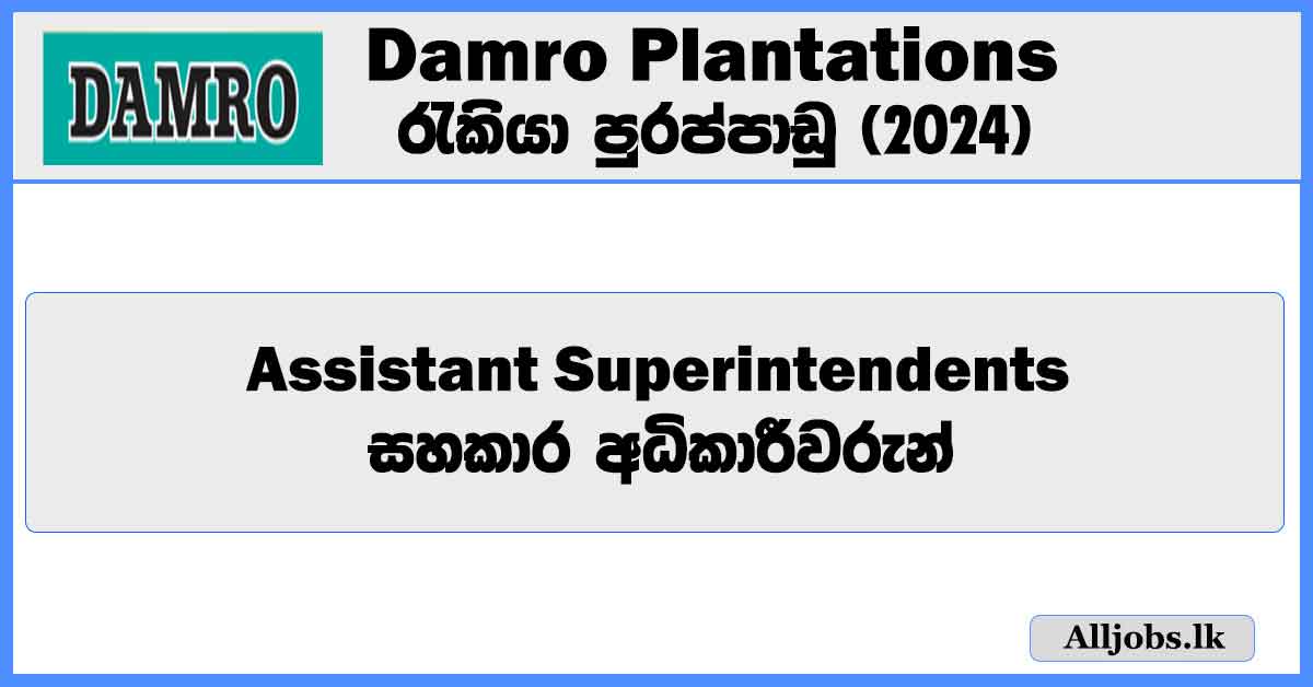 assistant-superintendents-damro-plantations