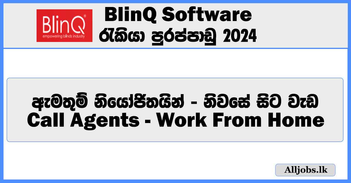 call-agents-work-from-home-blinq-software-job-vacancies