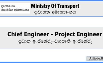 chief-engineer-project-engineer-ministry-of-transport-job-vacancies-2024-alljobs.lk