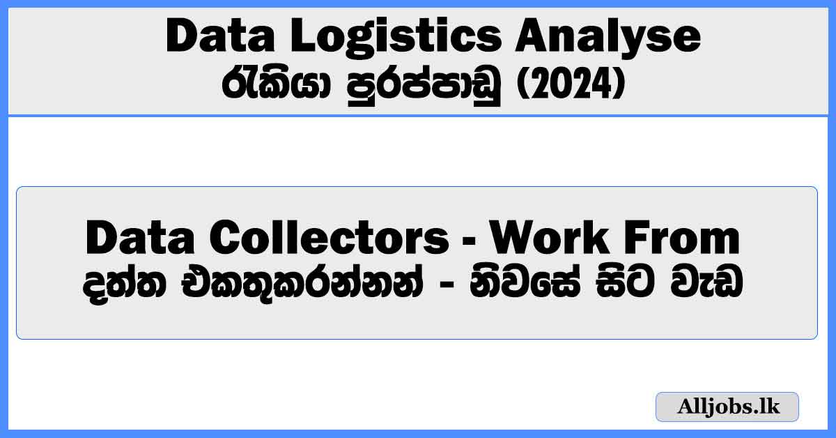 data-collectors-work-from-home-data-logistics-analyse-job-vacancies-2024