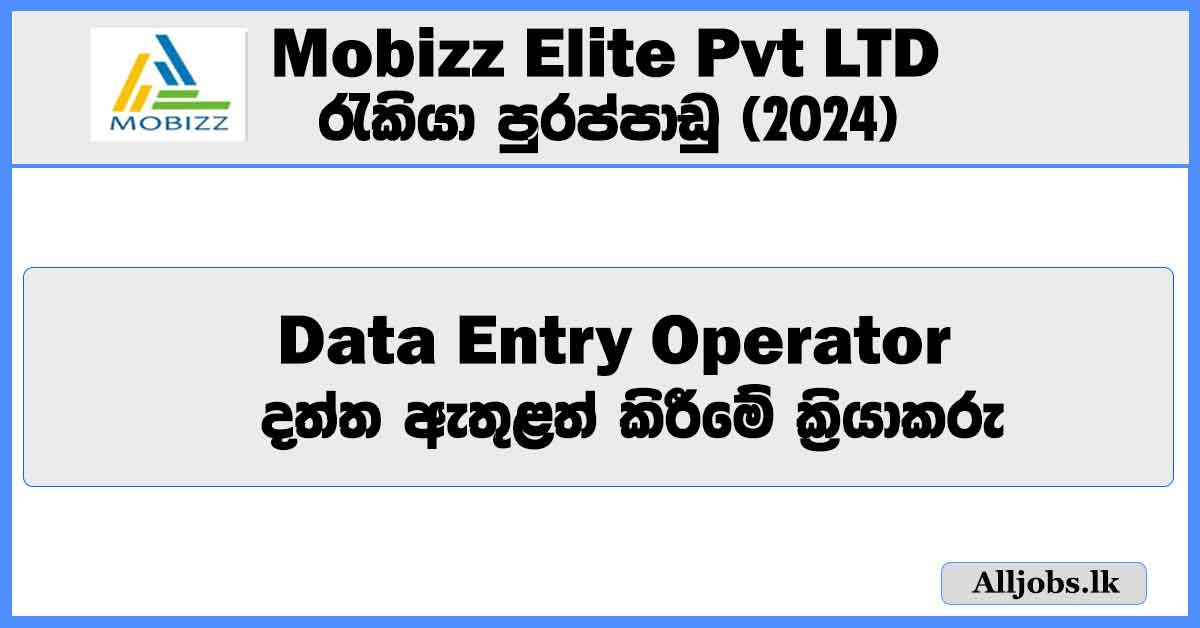 data-entry-operator-mobizz-elite-pvt-ltd