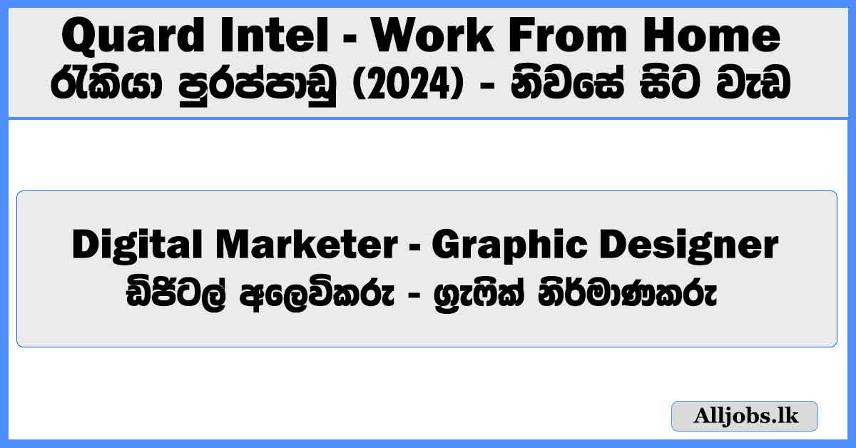 digital-marketer-graphic-designer-work-from-home-quard-intel-job-vacancies-2024