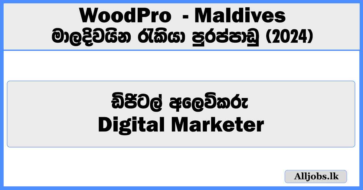 digital-marketer-maldives-woodpro-job-vacancies