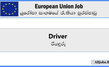 driver-european-union-job-vacancies-2024-alljobs.lk_