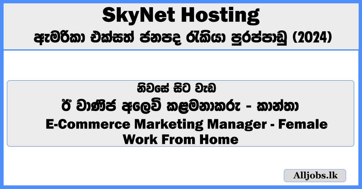 e-commerce-marketing-manager-female-work-from-home-skynet-hosting-job-vacancies