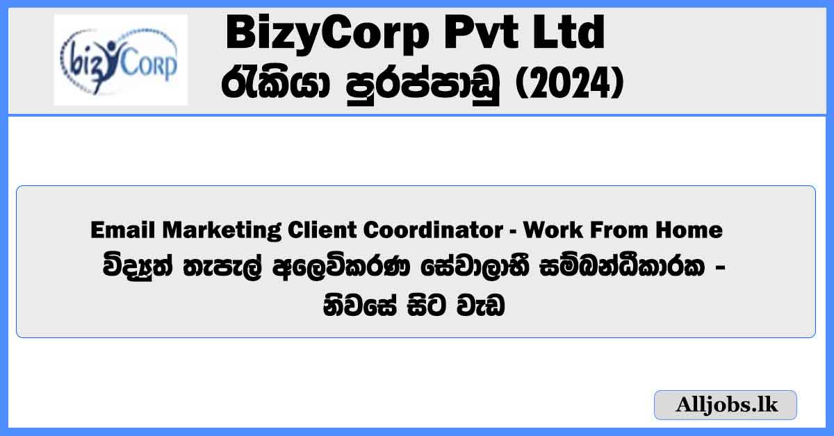 email-marketing-client-coordinator-work-from-home-bizycorp-pvt-ltd-job-vacancies-2024