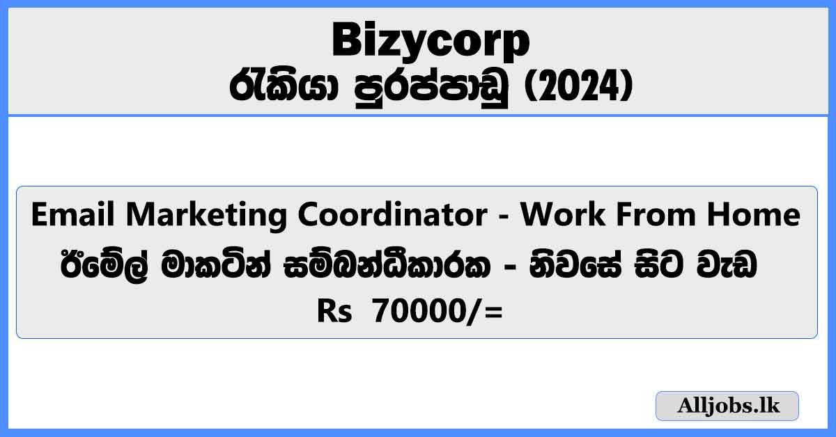 email-marketing-client-coordinator-work-from-home-bizycorp-pvt-ltd-job-vacancies