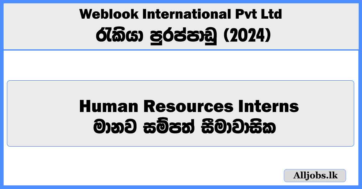 hr-interns-weblook-international-pvt-ltd-job-vacancies-2024