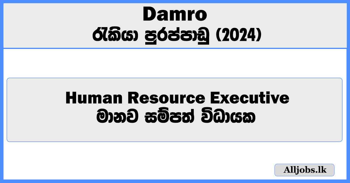 human-resource-executive-damro-job-vacancies