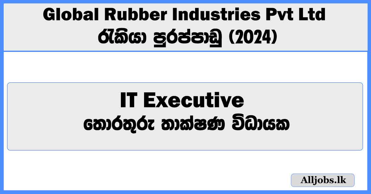 it-executive-global-rubber-industries-pvt-ltd-job-vacancies