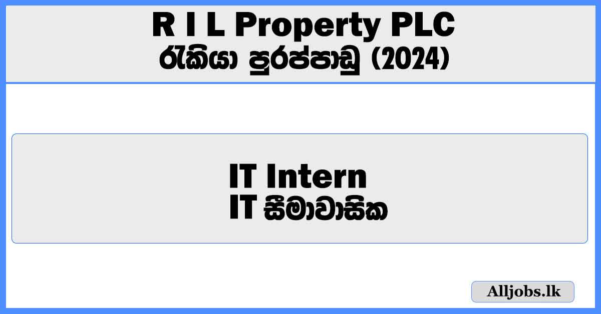 it-intern-r-i-l-property-plc-job-vacancies-2024