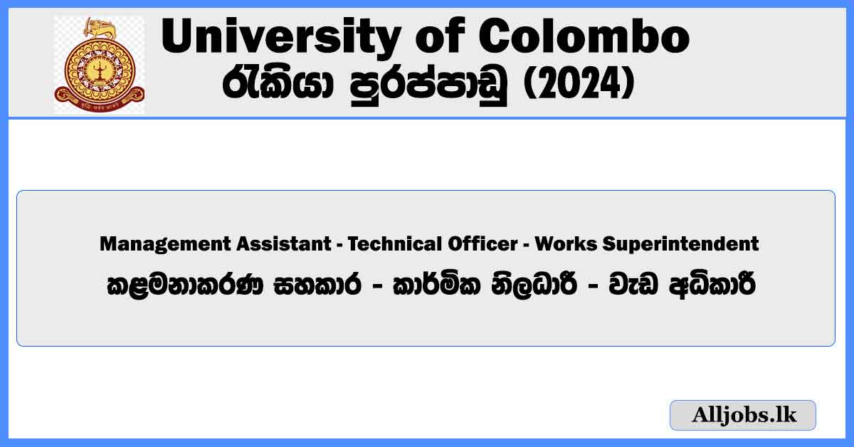 management-assistant-technical-officer-works-superintendent-university-of-colombo-job-vacancies-2024