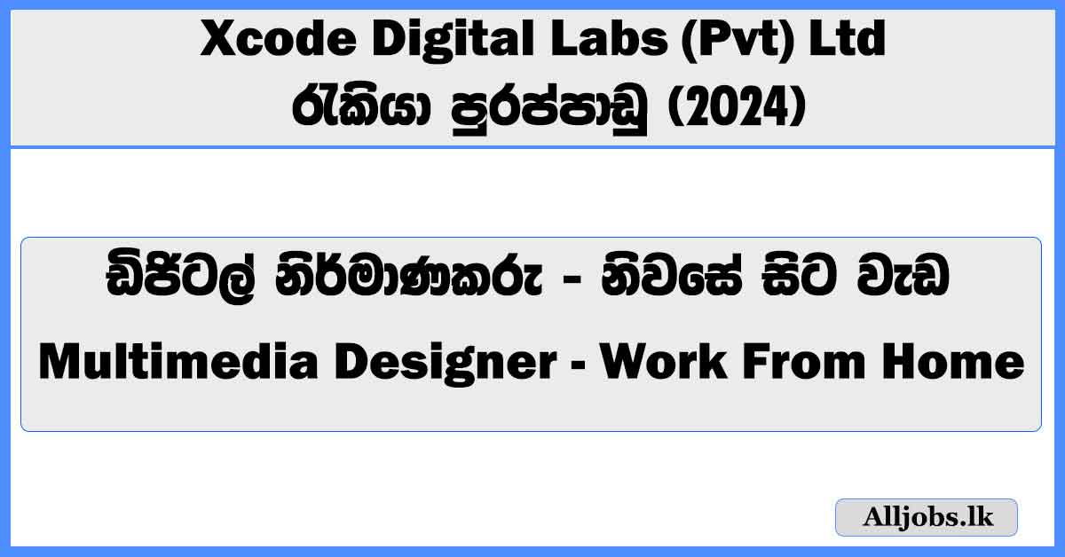 multimedia-designer-work-from-home-xcode-digital-labs-pvt-ltd-job-vacancies