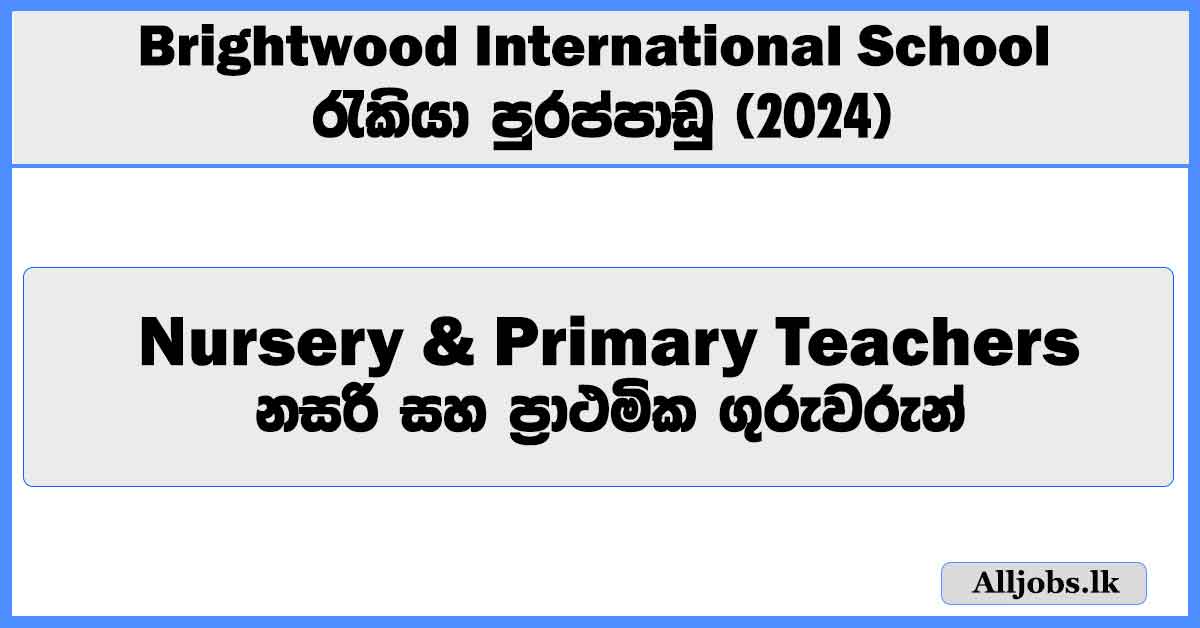 Nursery & Primary Teacher - Brightwood International School Job Vacancies 2024