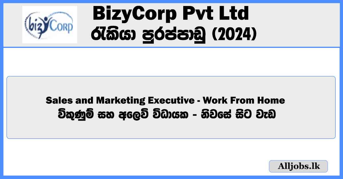 sales-and-marketing-executive-work-from-home-bizycorp-pvt-ltd-job-vacancies-2024