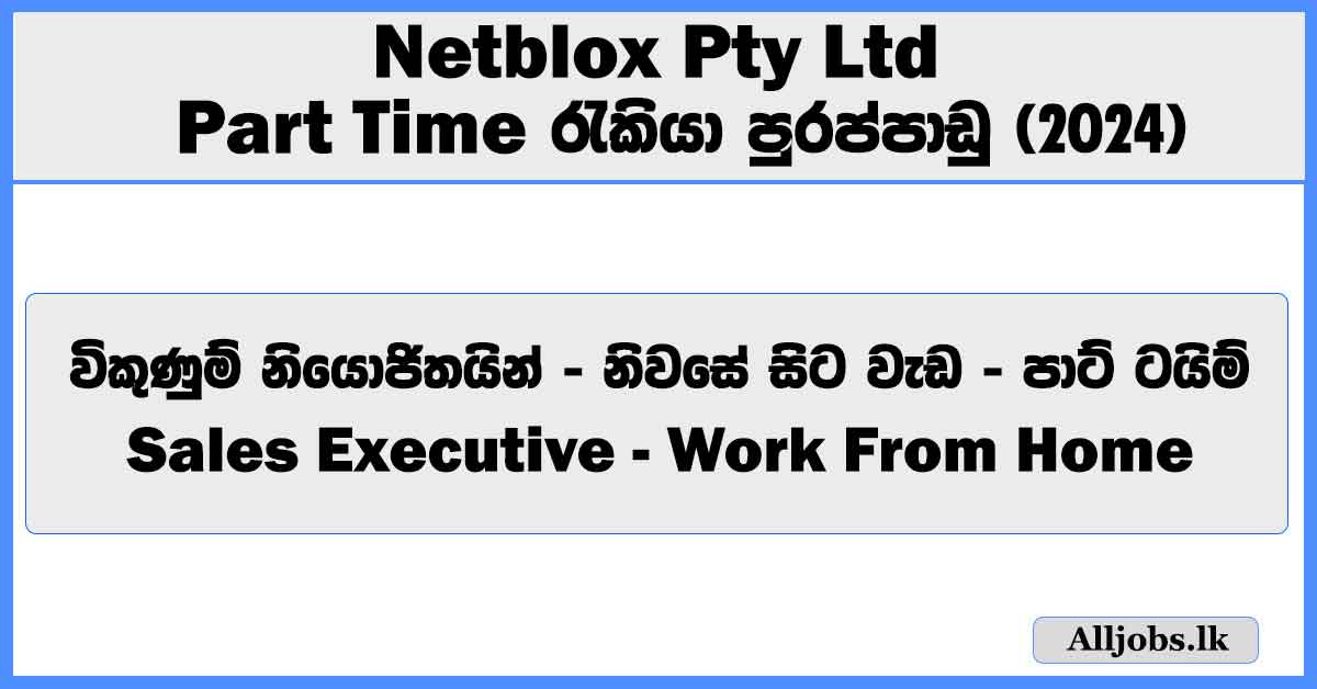 sales-executive-work-from-home-netblox-pty-ltd-job-vacancies