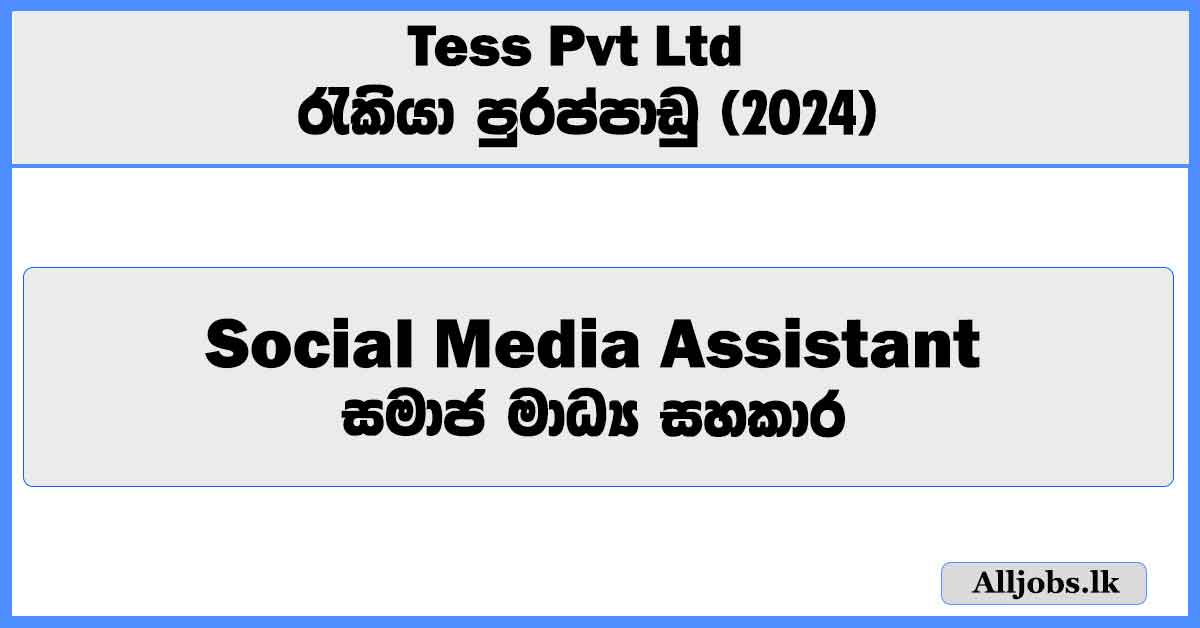 social-media-assistant-tess-pvt-ltd-job-vacancies