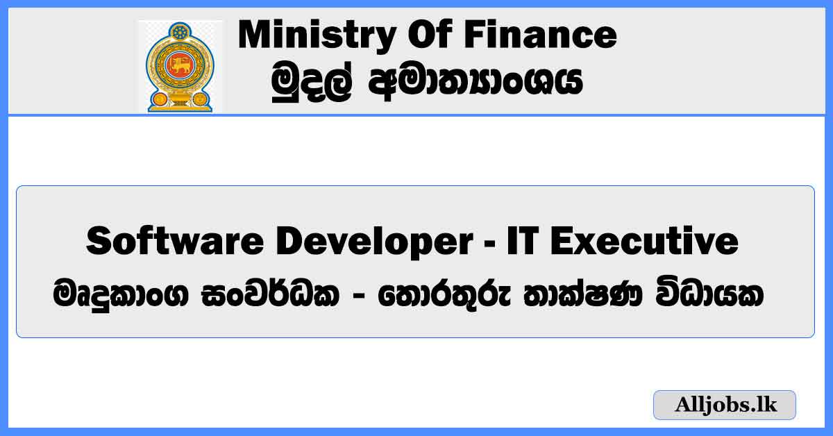 software-developer-it-executive-ministry-of-finance-job-vacancies