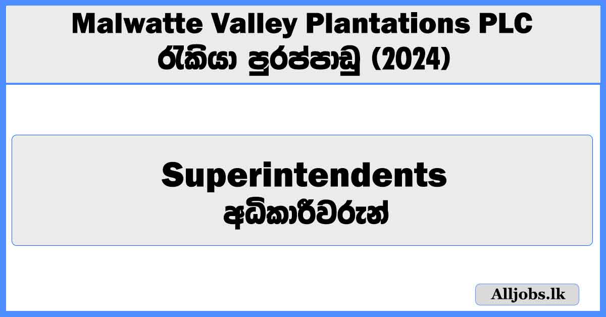 superintendents-malwatte-valley-plantations-plc-job-vacancies-2024