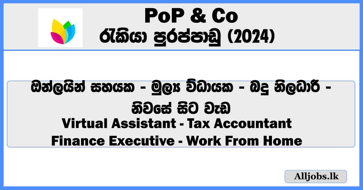 virtual-assistant-and-finance-executive-work-from-home-pop-and-co-job-vacancies